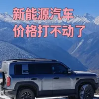 新能源汽车价格战为何偃旗息鼓？销量承压与利润下滑成关键