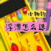 小物钓浮漂怎么选？新手看完立即明白