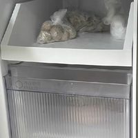 海尔智家统帅539L十字四门冰箱✨