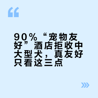 90%“宠物友好”酒店拒收中大型犬，真友好只看这三点