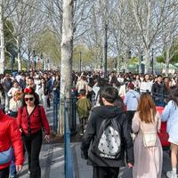 2026年玩疯狂动物城，不花冤枉时间的3种聪明排法
