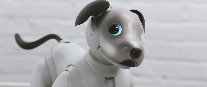 Aibo：它越像真的狗，越照见人类对陪伴的渴望与局限