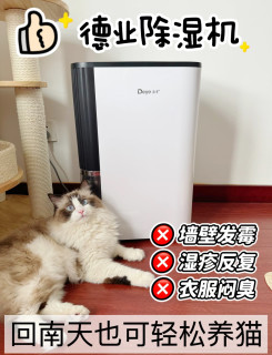 25升/天强力抽湿，这台德业让40㎡出租屋告别回南天