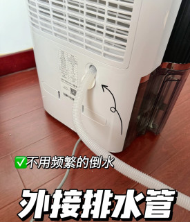 25升/天强力抽湿，这台德业让40㎡出租屋告别回南天