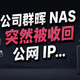 公司的群晖 NAS 被收回公网 IP 了 .... 是时候该上异地组网