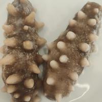 即食海参省的是时间不是钱，干海参泡发失败三次就别硬扛了