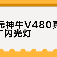 600元神牛V480真能替代原厂闪光灯？新手闭眼入还是踩坑？