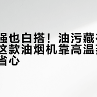 吸力再强也白搭！油污藏在内部死角，这款油烟机靠高温蒸汽免拆洗真省心