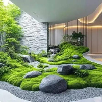 苔藓发黄别急扔，找准原因7天返绿