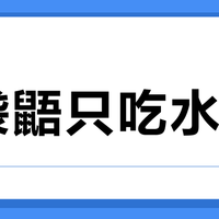 蜜袋鼯只吃水果？营养均衡这样做
