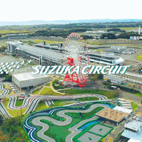 别被“F1级”忽悠!三种赛车乐园体验真相大揭秘