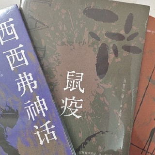 《局外人》：冷静审视生活与自我