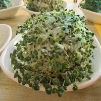 环保种子纸是手作新趋势吗
