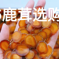 2026鹿茸品牌深度测评：高氨基酸+权威认证，优质品牌全解析