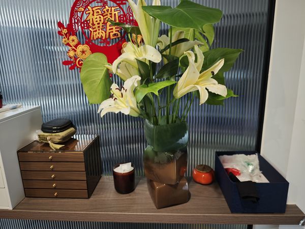 买了个渐变色几何方块花瓶，放在玄关真养眼！