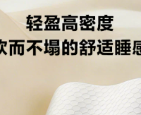 8H德国巴斯夫记忆棉枕慢回弹抗菌护颈透气助眠成人单人枕头枕芯