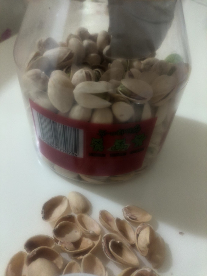 开森熊开心果