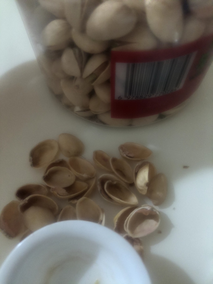 开森熊开心果