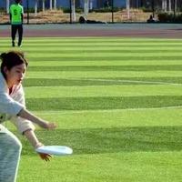 百元飞盘鞋怎么选？别让“缓震跑鞋”成崴脚加速器