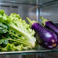 东芝大白桃Pro：果蔬保鲜天花板，但囤肉家庭慎入