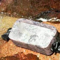 IPX8防水袋真能防溪流？实测37%进水，关键不在深度而在这个细节