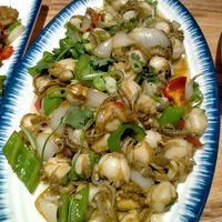2026大孤山觅食记|藏在山海间的家常海鲜小馆✨