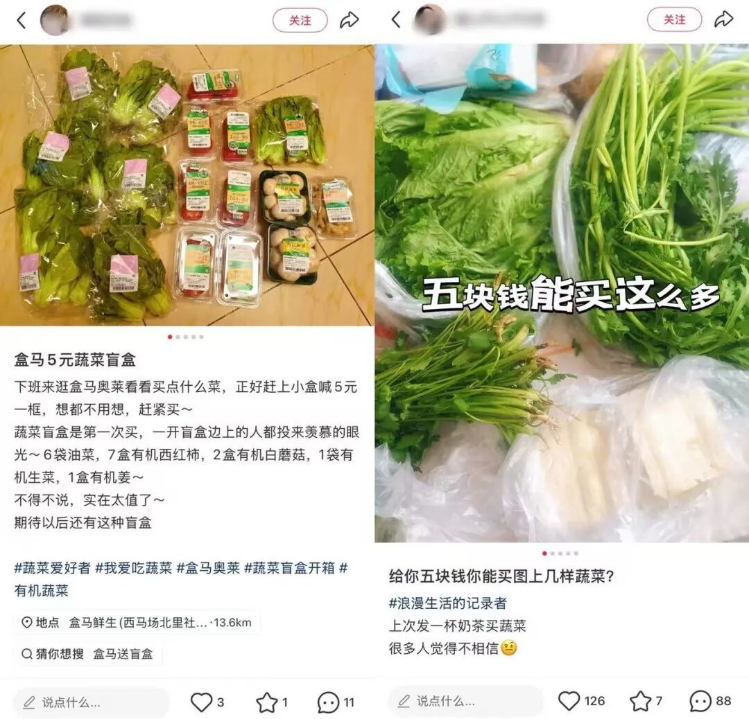 小红书上蔬菜盲盒火了,生鲜电商找到新解法?