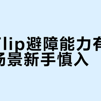 大疆Flip避障能力有限，复杂场景新手慎入