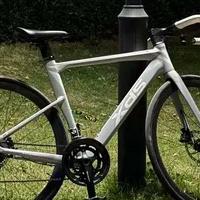 4000元通勤公路车怎么选？AD350轻快但怕雨，RC120稳重更耐造