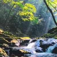 几千元预算，也能选购高画质电视