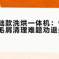 松下基础款洗烘一体机：省事变添堵，毛屑清理难题劝退多数家庭