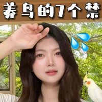 夏季养鸟的七个禁忌⚠️偷懒害死鸟‼️