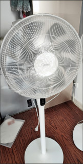 美的静音直流电机风扇，夏季家用优选