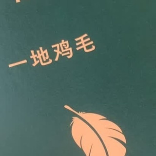 618淘得好书，读懂平凡生活的《一地鸡毛》