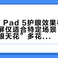 OPPO Pad 5护眼效果被高估：柔光屏仅适合特定场景，别再为“护眼天花”多花钱