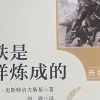《钢铁是怎样炼成的》：生命意义的坚守
