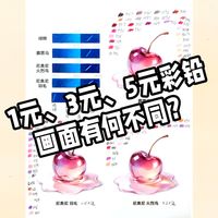 不同价位彩铅画面结果对比尼奥尼二代火烈鸟油性彩铅测评画材推荐写实手绘画材测评