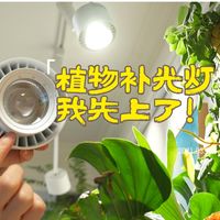 给大家看看我精挑细选的植物补光灯