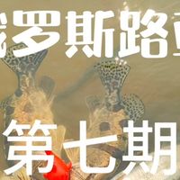 路亚鳜鱼小技巧，怎么用铅头钩找底