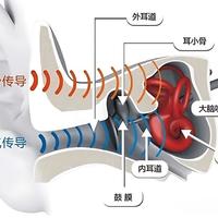 耳夹式真比骨传导更稳？2026实测揭秘运动耳机怎么选