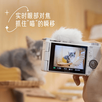 ZV-E1拍照真能打？别被全画幅骗了，它只适合拍视频