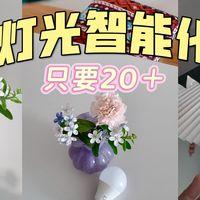 花小钱提升幸福感，20＋让灯具变智能