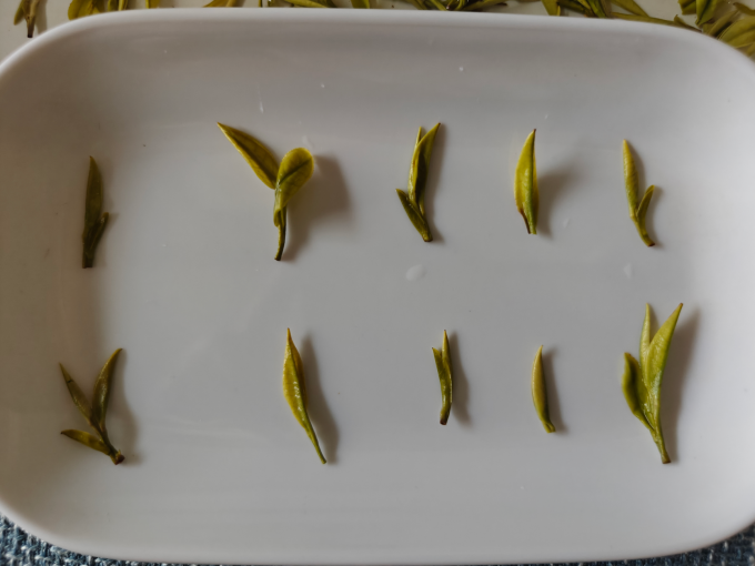 芳羽绿茶