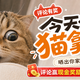 【评论活动】养猫人集合！快来晒晒你家猫赢现金奖励~
