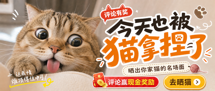 【评论活动】养猫人集合！快来晒晒你家猫赢现金奖励~