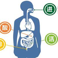 益生菌奶粉真相：90%活菌3秒死亡，真正护肠靠的是它