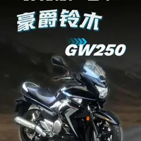 铃木GW250：从质量危机到市场常青树的产品分析