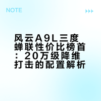 风云A9L三度蝉联性价比榜首：20万级降维打击的配置解析