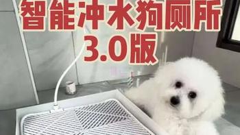 50元自制智能冲水狗厕所3.0版详细教程