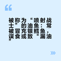 被称为“喷射战士”的油鱼:常被冒充银鳕鱼,误食或致“漏油”